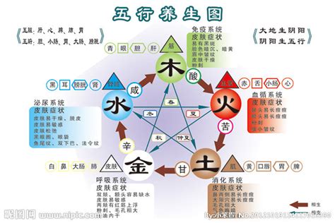 綠色五行|五行